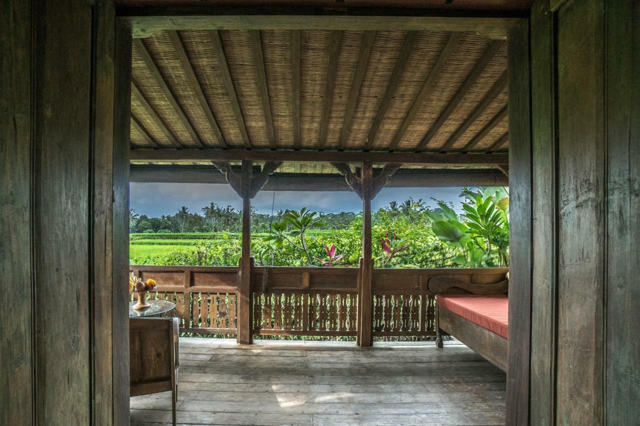 Malaya Villas Ubud Tegallalang  Εξωτερικό φωτογραφία